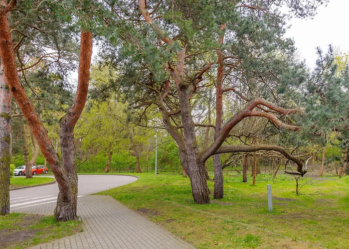 公寓 Baltic Diamond - Nadmorski Dwor 格但斯克